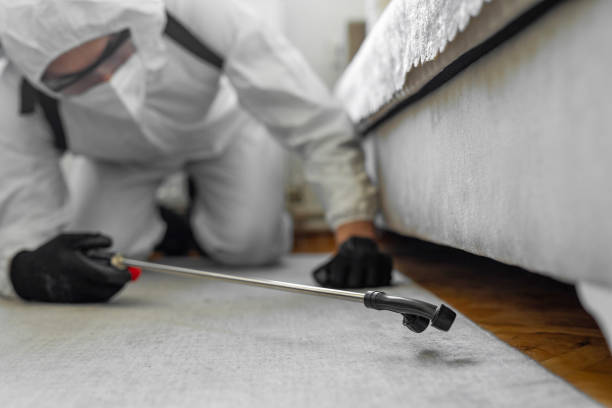 Professional Pest Control technician working in Logan Elm Village, OH