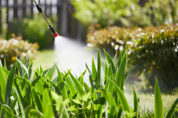 24/7 Emergency Rodent Control experts in Logan Elm Village, OH
