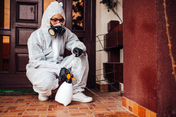 Reliable Rodent Control contractor in Logan Elm Village, OH by Nex Pest Control