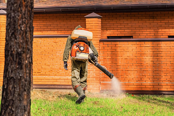 Trusted Bed Bug Control service in Logan Elm Village, OH - Nex Pest Control